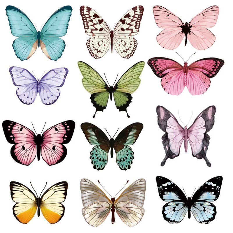 12pcs 3D Butterfly Wall Sticke - Art Craft Easter 评论和价格